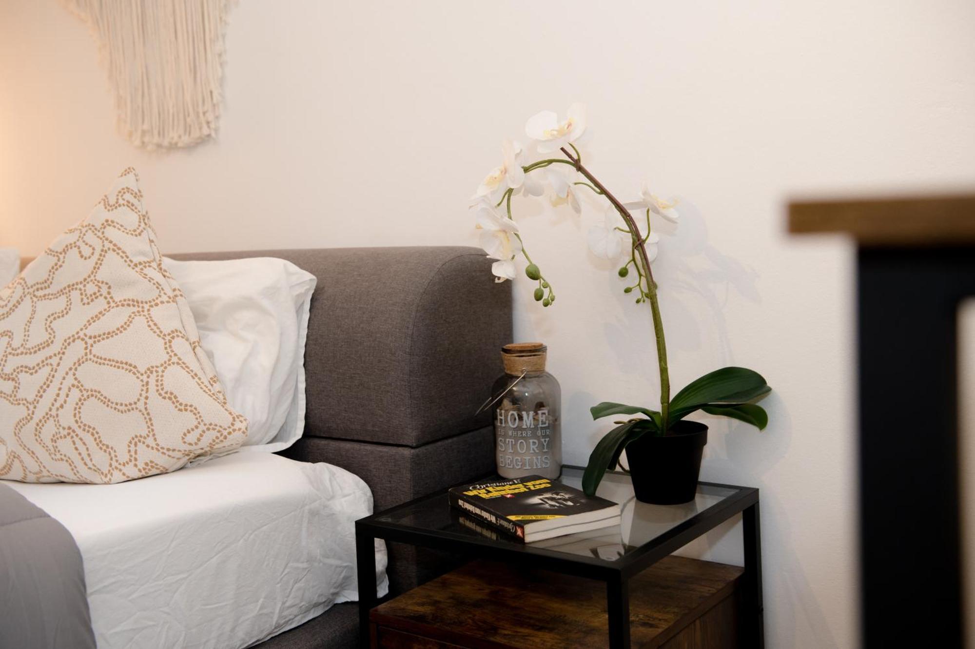 Entire Tulum Apartment, In The Center Of Wina Bagian luar foto
